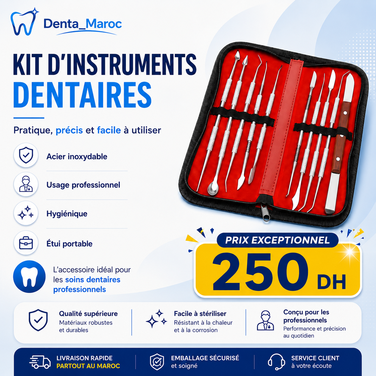 Kit d'Instruments Dentaires Professionnels en Acier Inoxydable – Étui de Transport Inclus